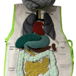 SET DE APRENDIZAJE TORSO