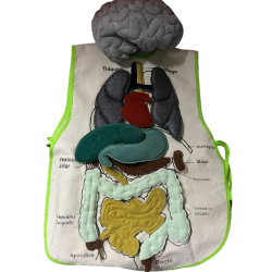 SET DE APRENDIZAJE TORSO