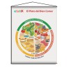 LAMINA DIDACTICA EL PLATO DEL BIEN COMER 43X60 CM