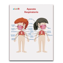 LAMINA DIDACTICA APARATO RESPIRATORIO NIÑOS