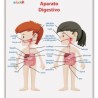 LAMINA DIDACTICA APARATO DIGESTIVO NIÑOS
