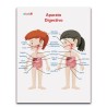 LAMINA DIDACTICA APARATO DIGESTIVO NIÑOS