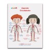 LAMINA DIDACTICA APARATO CIRCULATORIO NIÑOS