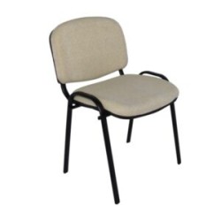 SILLA ISO MAX PINTADA