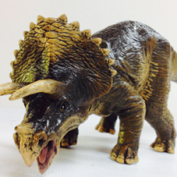 Triceratops Chico