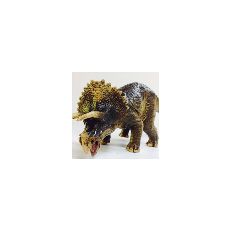 Triceratops Chico