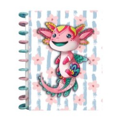 LIBRETA DE DISCOS AJOLOTE