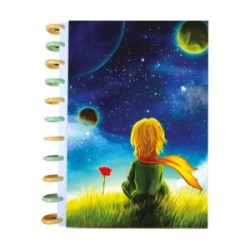 LIBRETA DE DISCOS EL PRINCIPITO